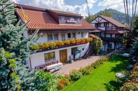 Bird's eye view, On site