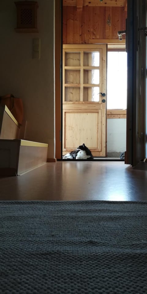 Facade/entrance, Decorative detail, Animals