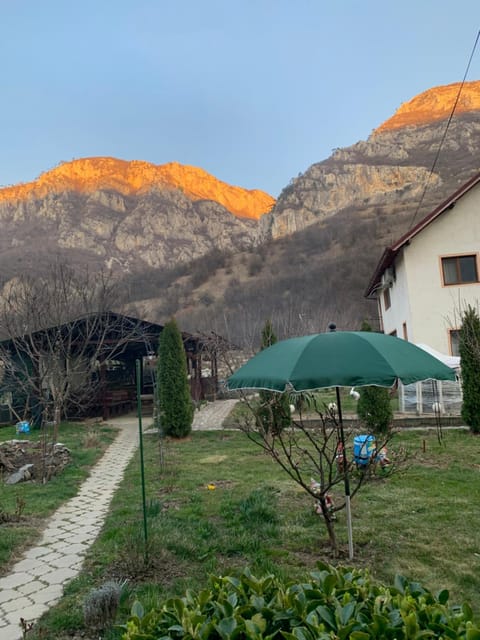 Natural landscape, Garden view, Mountain view