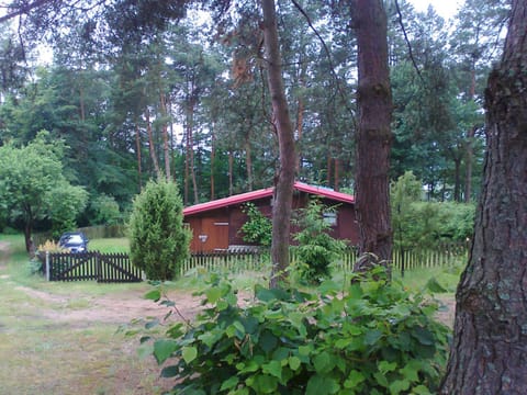 Neighbourhood