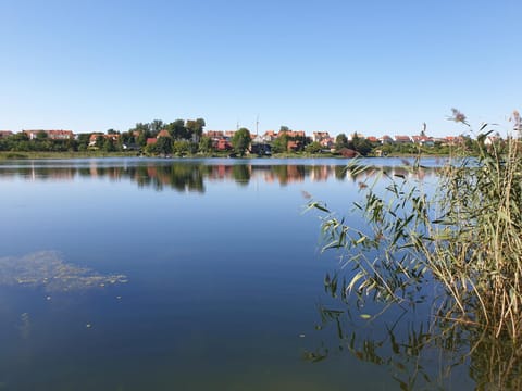 Natural landscape, City view