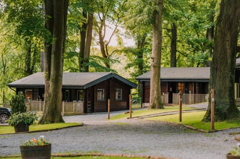 The Jonas Centre Nature lodge in England