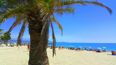 Activities, Beach, Beach, Sea view, Swimming pool