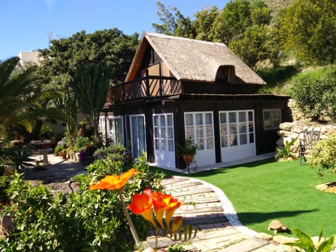 Property building, Garden view