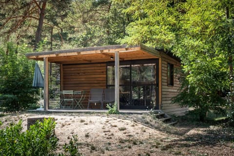 Patio, Photo of the whole room