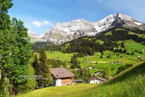 Appartment Andrea Apartment in Adelboden