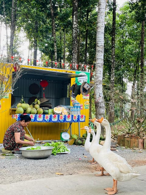 Communal lounge/ TV room, Day, Natural landscape, Children play ground, Garden, Evening entertainment, Garden view