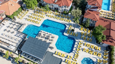 Day, Bird's eye view, Pool view, Swimming pool, sunbed