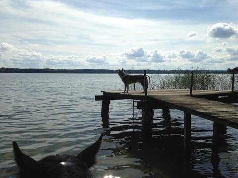 Fishing, Canoeing, Hiking, Cycling, Diving