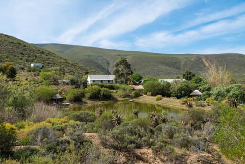 Natural landscape