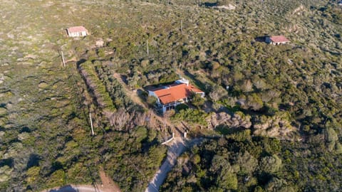 Property building, Bird's eye view