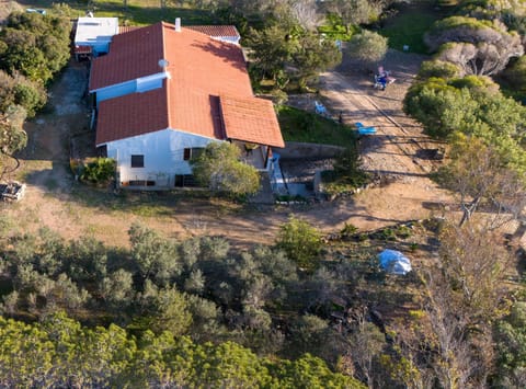 Property building, Bird's eye view