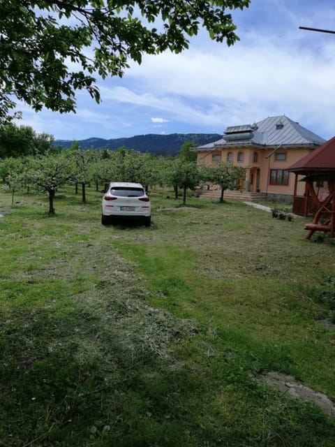 Property building, Natural landscape, Garden