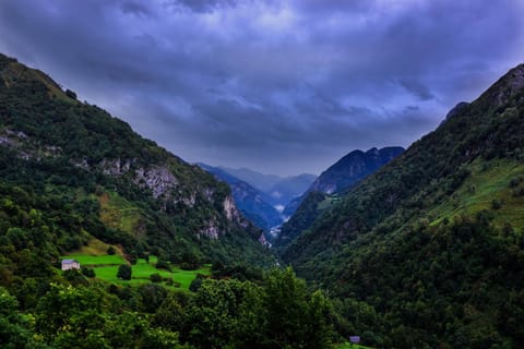 Mountain view