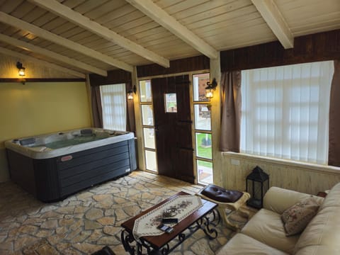 Natural landscape, Hot Tub, Hot Tub, Living room, Photo of the whole room, Seating area