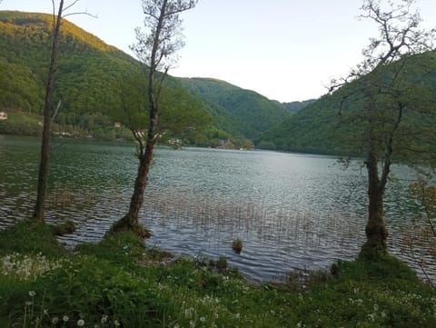 Apartman Relax in Nature House in Federation of Bosnia and Herzegovina