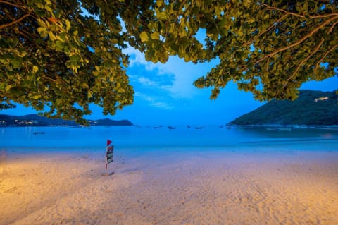 Neighbourhood, Beach, Sea view