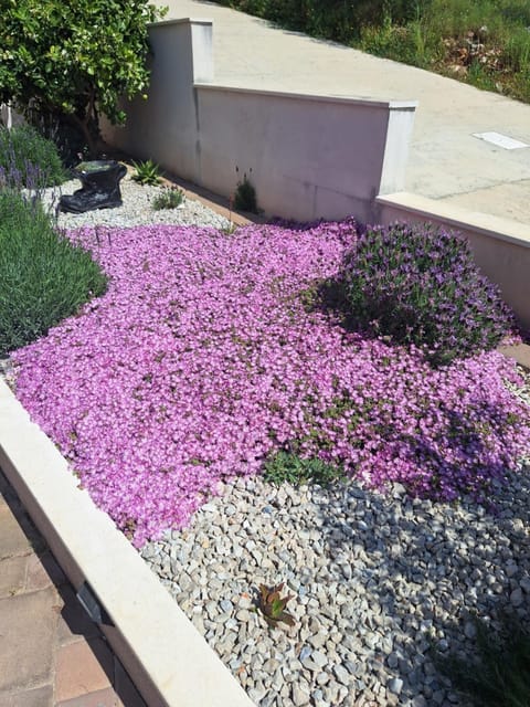 Apartments Marija Bed and Breakfast in Dubrovnik-Neretva County