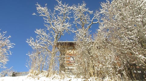 Natural landscape, Winter, On site