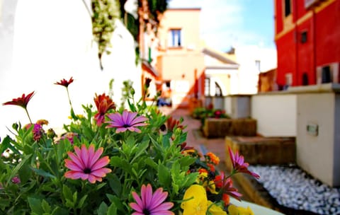 Property building, Facade/entrance, Spring, Neighbourhood, Garden