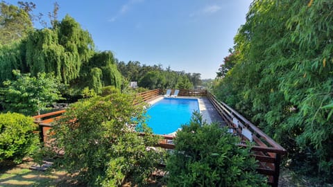 Garden, Garden view, Pool view, Swimming pool
