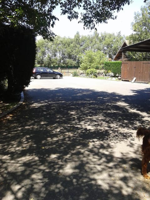 Day, Summer, On site