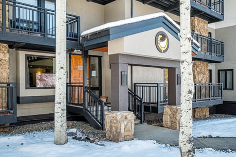 Ptarmigan House Apartment in Steamboat Springs