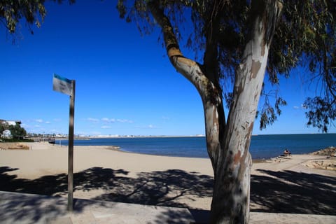 Nearby landmark, Beach
