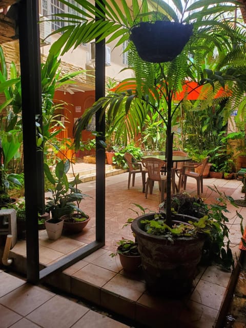 Garden view, Inner courtyard view