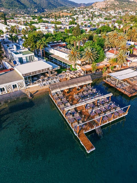 Day, Bird's eye view, Sea view, Location