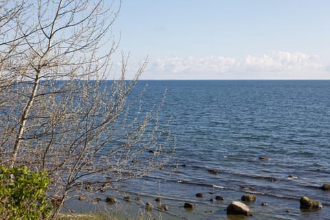 Natural landscape, Sea view