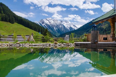 Natural landscape, Mountain view, Pool view, Swimming pool