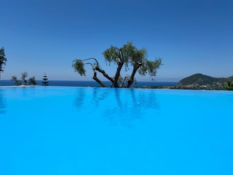 Natural landscape, Swimming pool, Swimming pool