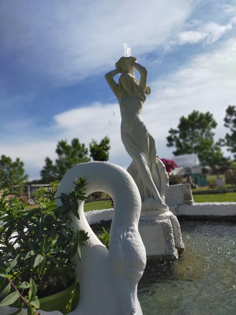 Day, Garden, Garden view