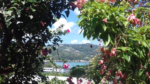 Garden view, Sea view