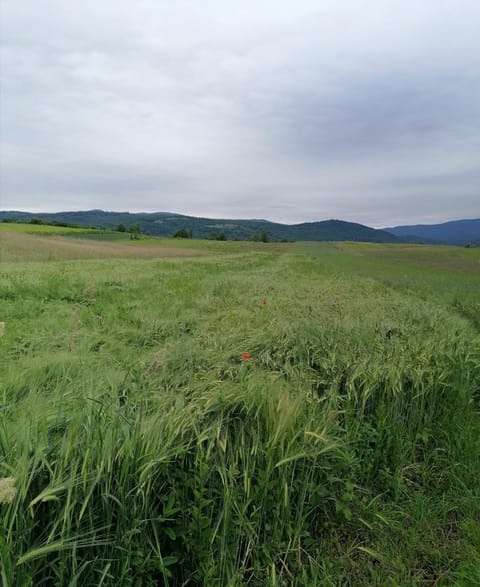 Apartment & Rooms Arija Bed and Breakfast in Plitvice Lakes Park