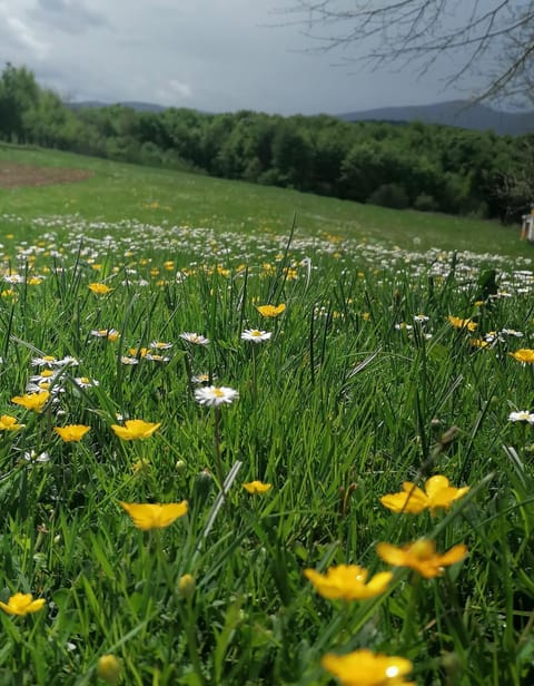 Apartment & Rooms Arija Bed and Breakfast in Plitvice Lakes Park