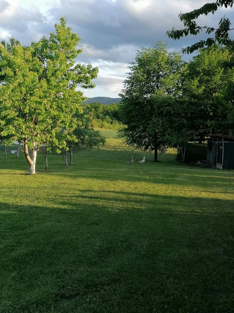 Apartment & Rooms Arija Bed and Breakfast in Plitvice Lakes Park