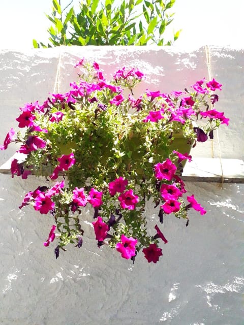 B&B I Limoni Bed and Breakfast in Sardinia