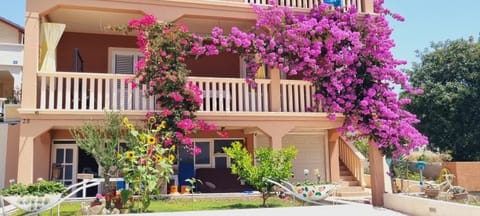 Apartment Sofia Apartment in Biograd na Moru