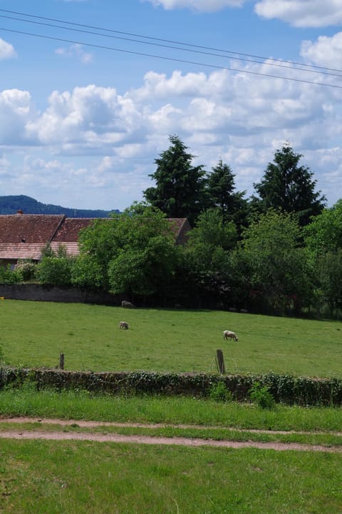 Natural landscape