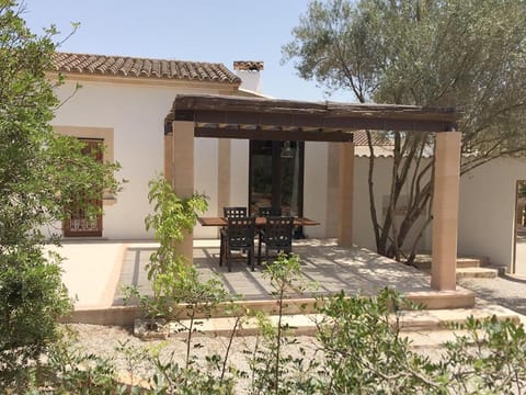 Garden, Balcony/Terrace
