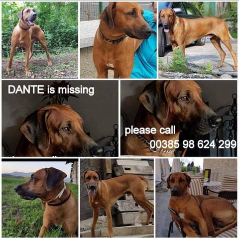 Apartments kod Ilje i Seke Apartment in Šibenik-Knin County, Croatia