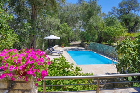 Day, Garden, Garden view, Pool view, Swimming pool, sunbed