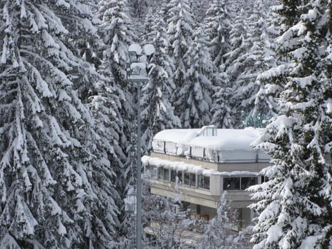 Property building, Day, Winter