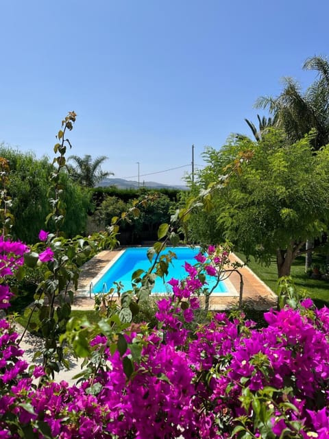 Spring, Day, Natural landscape, Garden, Garden view, Pool view, Swimming pool, sunbed