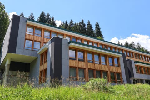 Property building, Summer