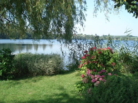 Garden, Lake view