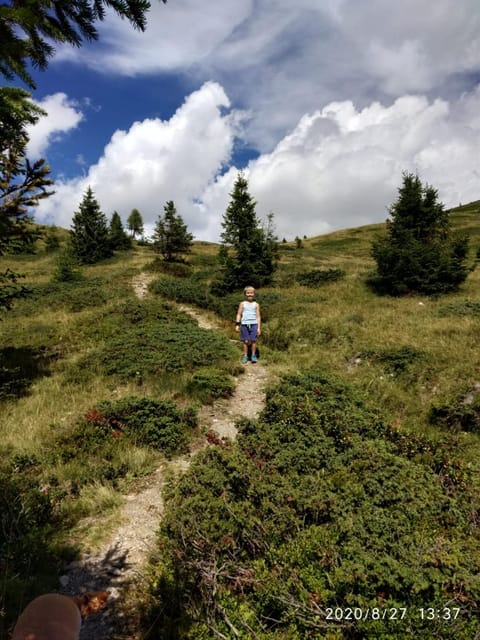 Hotel Serenella Hotel in Trentino-South Tyrol