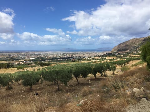Garden, City view, City view, Sea view, Sea view